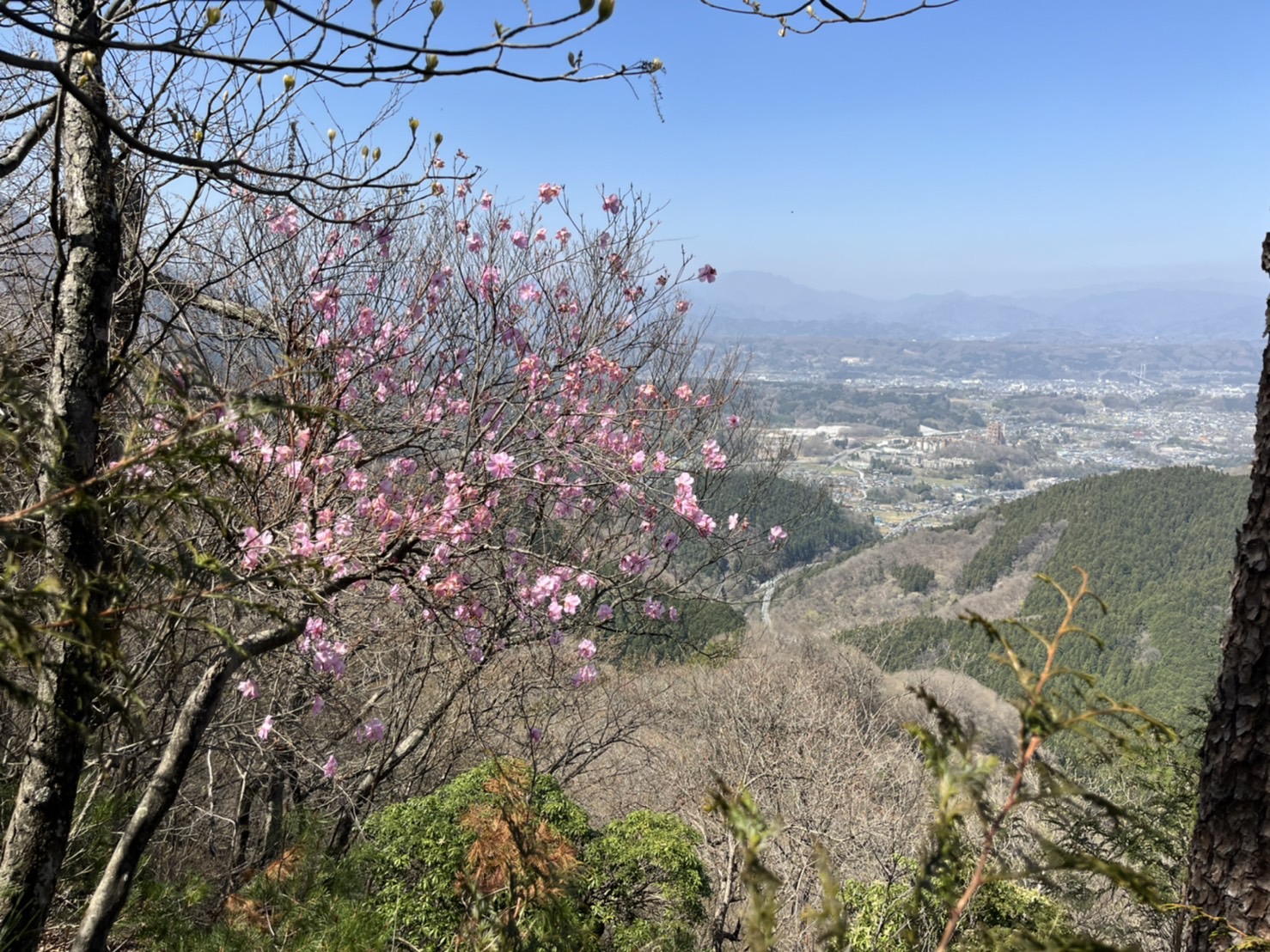 二子山登山 通行可能 歩楽 里 ぶら り よこぜ