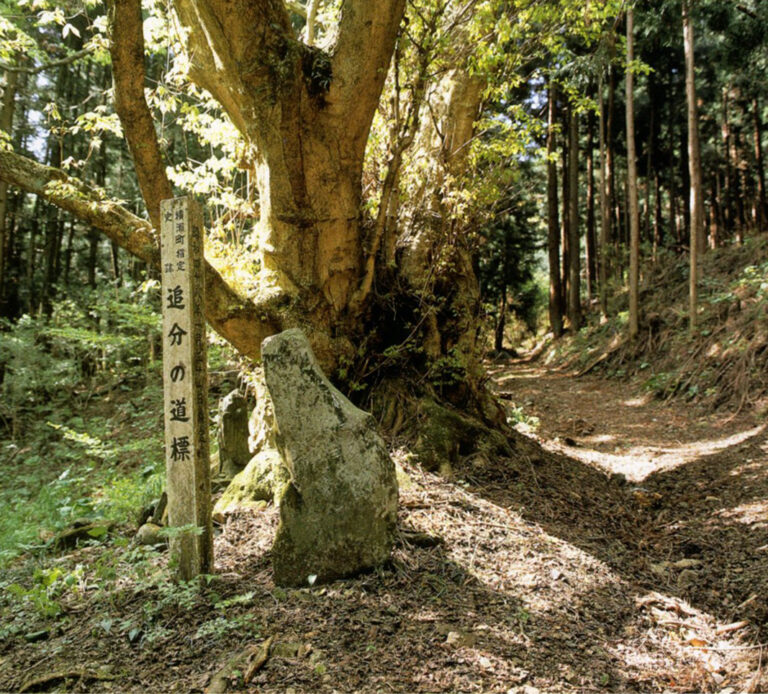 追分の道標