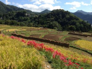 IMG_0647.JPG