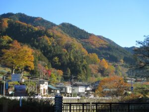 IMG_0853.JPG