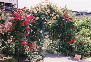 花の横瀬町