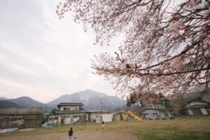 桜　苅米コミュニティ広場