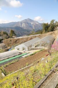 日向山　里山の風景2 20150402