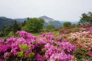 DSC01336