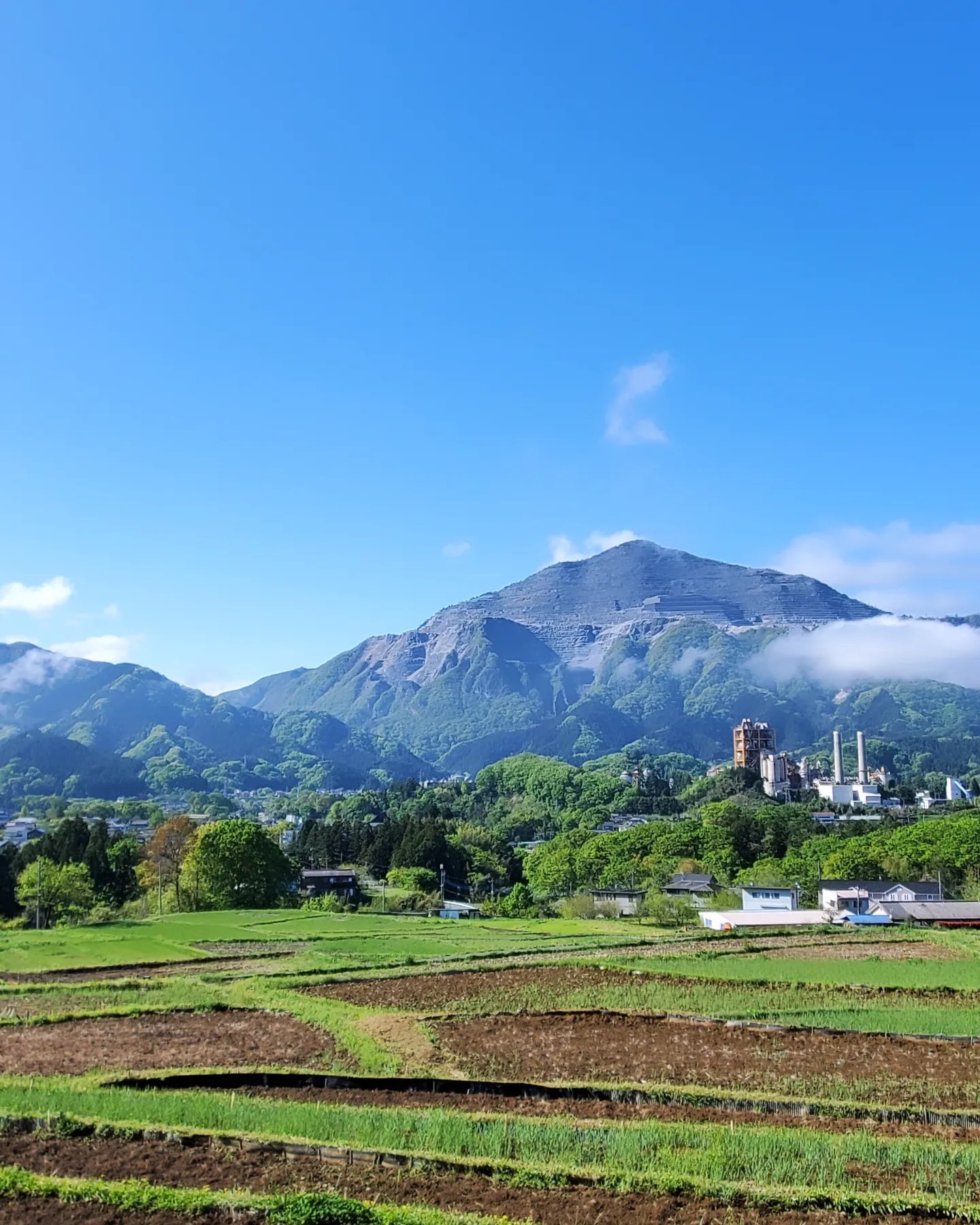飯田里穂/りほの島,楽園の光 飯田里穂 りほの島、楽園の光 | 飯田里穂 | ORICON NEWS